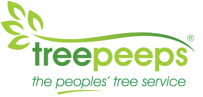 tree peeps