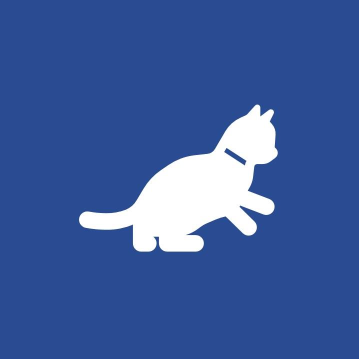 allowing pets icon