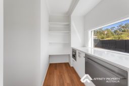 14 Laceflower St Narangba